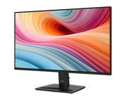 MSI PRO MP251 E2 24.5inch 120Hz FHD IPS Monitor