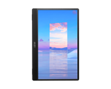 MSI PRO MP161 15.6" FHD IPS Portable Monitor